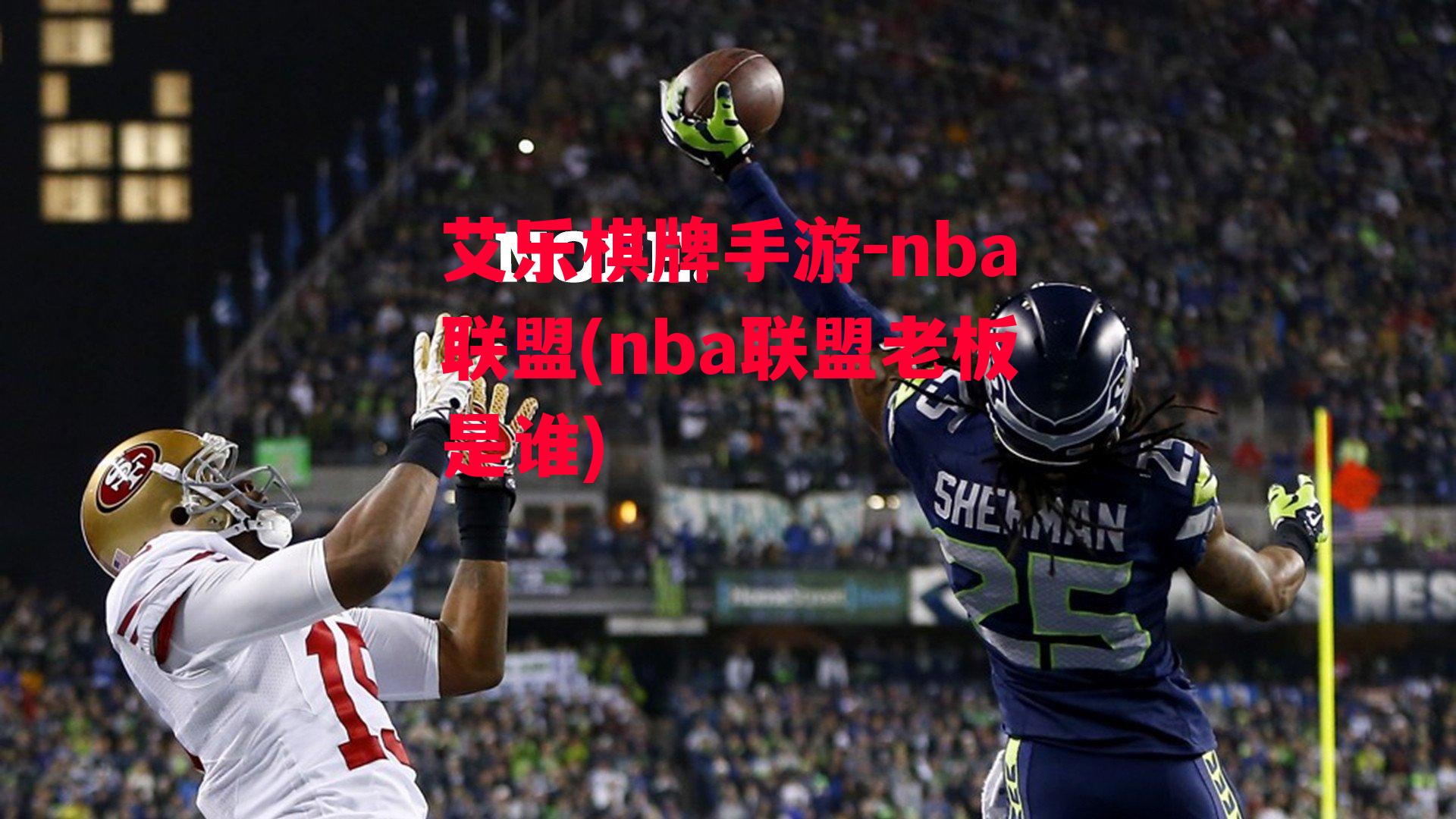 nba联盟(nba联盟老板是谁)